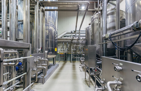 Your Digital Plant Journey 