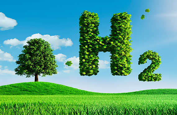 Hydrogen Fuel Production