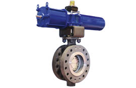 Vanessa valve