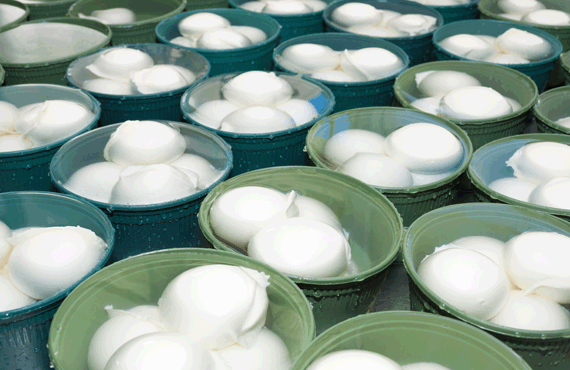 Packages of Fresh Mozzarella Balls