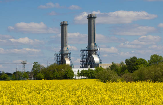 Combined cycle power plant behind a field of golden flowers